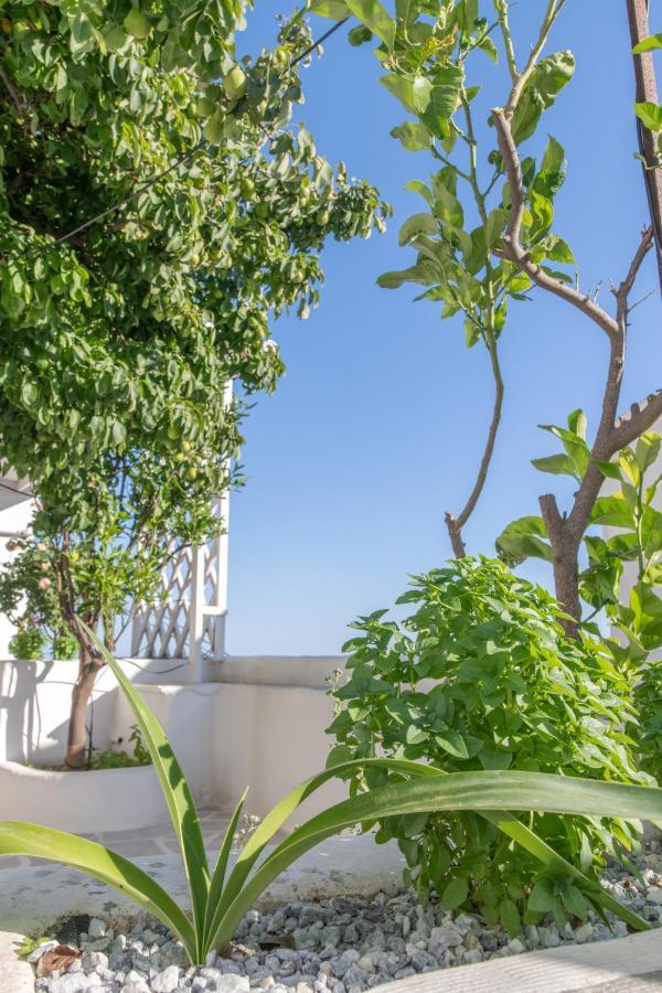 Myroviglia Ysternia Villa Isternia  Luaran gambar